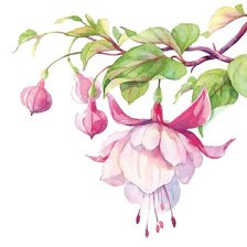 Схема вышивки «№1153828»