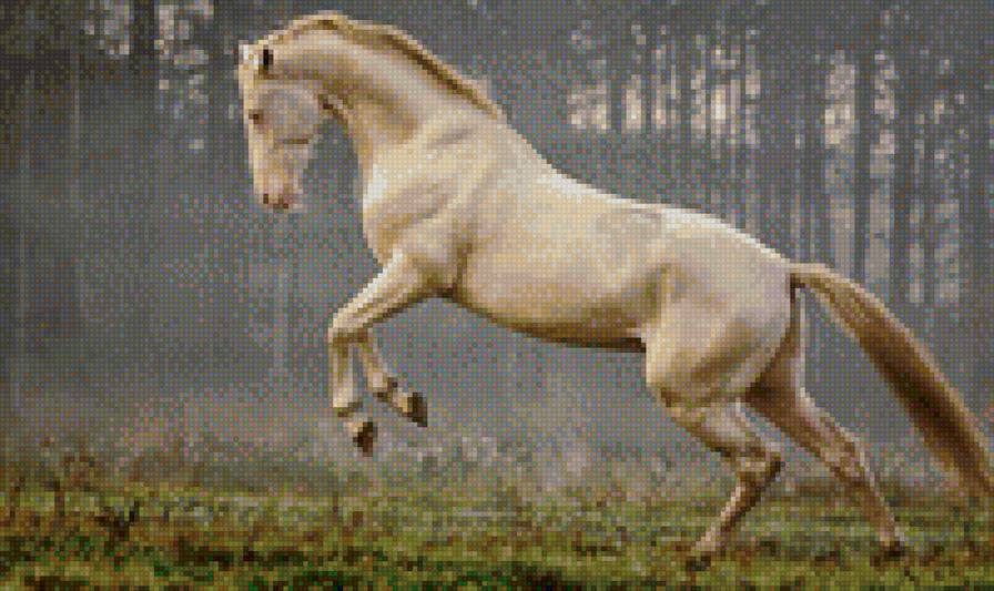 Ахалтекинец - конь, красавец, лошадь, животное - предпросмотр