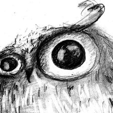 Схема вышивки «Сова чб»