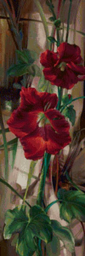 вьюн - цветы - предпросмотр