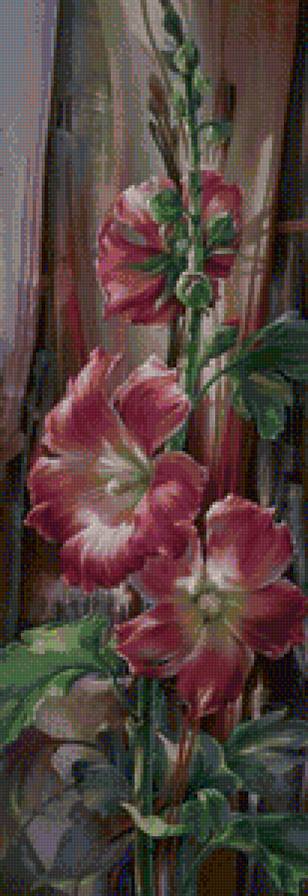 мальва - цветы - предпросмотр