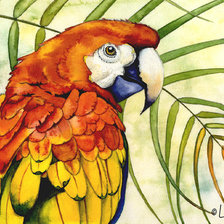Попугай