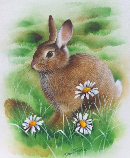 Зайка - природа, ромашки, животные - оригинал