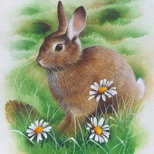 Схема вышивки «Зайка»