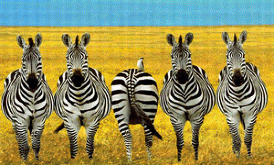 Не совсем идеальный - предпросмотр