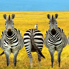 Схема вышивки «Не совсем идеальный»