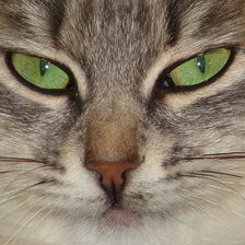 Схема вышивки «взгляд»