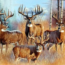 Схема вышивки «№1154554»