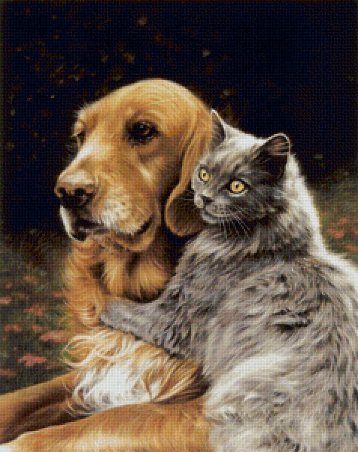 друзья - собаки, животные, кошки - предпросмотр