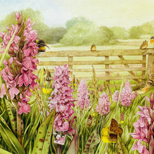 Схема вышивки «Лето»