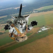 Схема вышивки «в полёте»