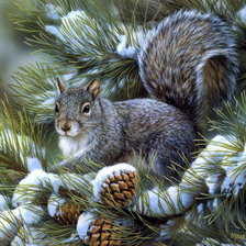 Схема вышивки «серая белка»