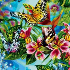 Схема вышивки «бабочки»