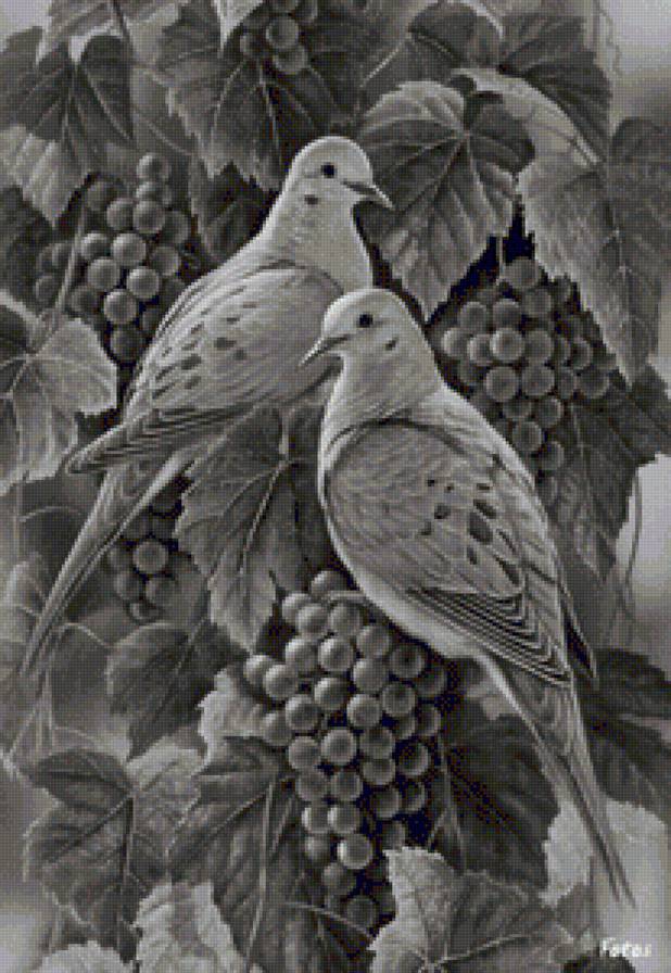 №1155116 - предпросмотр