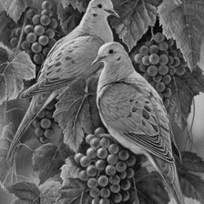 Схема вышивки «№1155116»