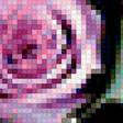 Предпросмотр схемы вышивки «цветы» (№1155183)