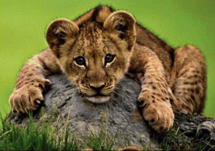 Львёнок - вышивка крестом - предпросмотр