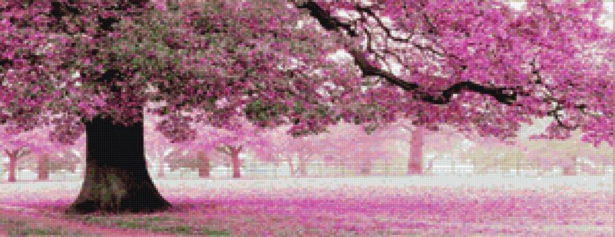 розовое дерево - дерево - предпросмотр