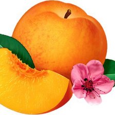 Схема вышивки «персики»