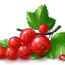 Схема вышивки «Сочная смородинка»