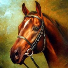 Схема вышивки «красавец»