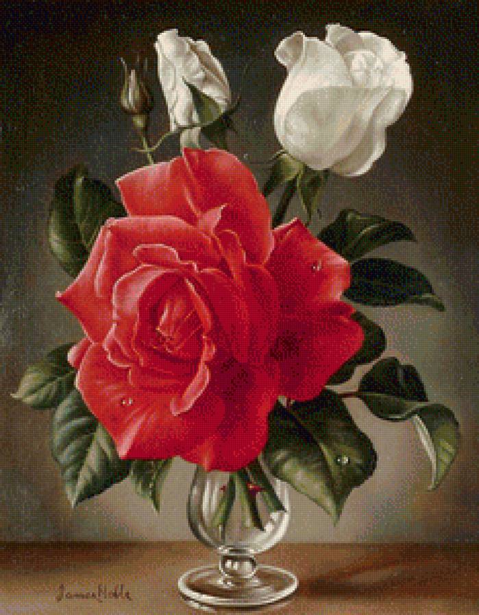 Розы - цветы, розы, натюрморт - предпросмотр