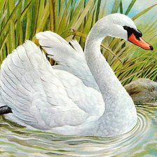 Схема вышивки «лебеди»