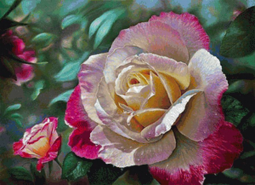 Розы - цветы, розы - предпросмотр