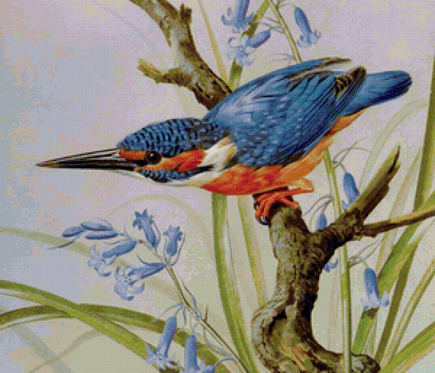 пташка - птицы, природа - предпросмотр