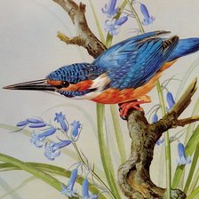 Схема вышивки «пташка»