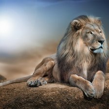 Схема вышивки «лев»