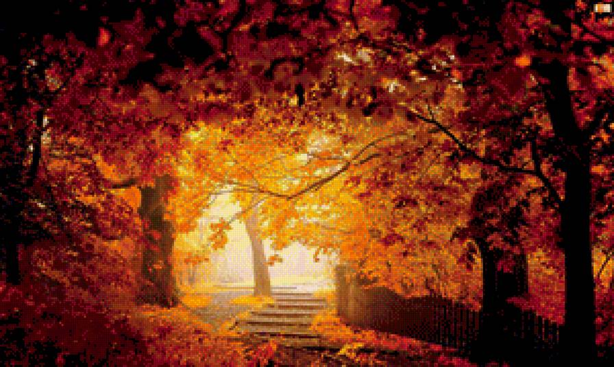 осень - пейзаж, осень, природа - предпросмотр