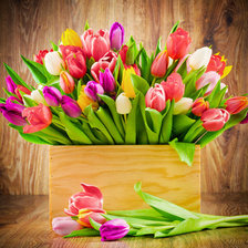 Схема вышивки «Тюльпаны»