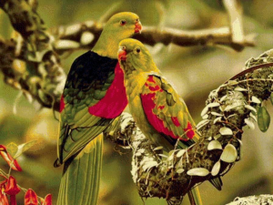 Птички - птицы, природа - предпросмотр