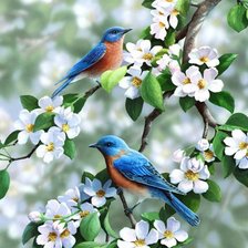 Схема вышивки «пташки весной»