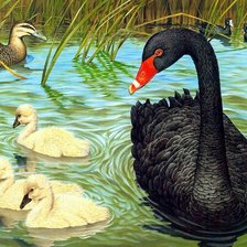 Схема вышивки «лебедь»