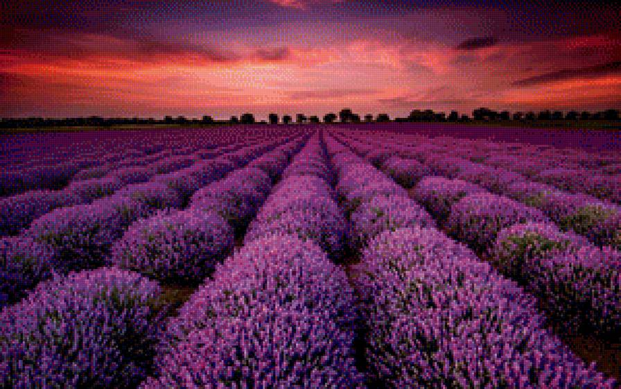 №1156680 - предпросмотр