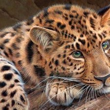 Схема вышивки «№1156682»