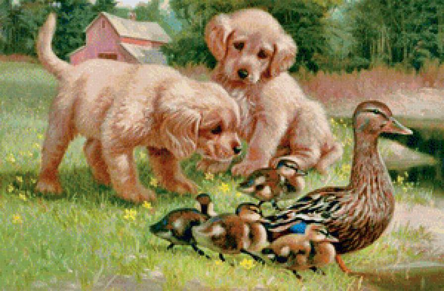 №1156765 - предпросмотр