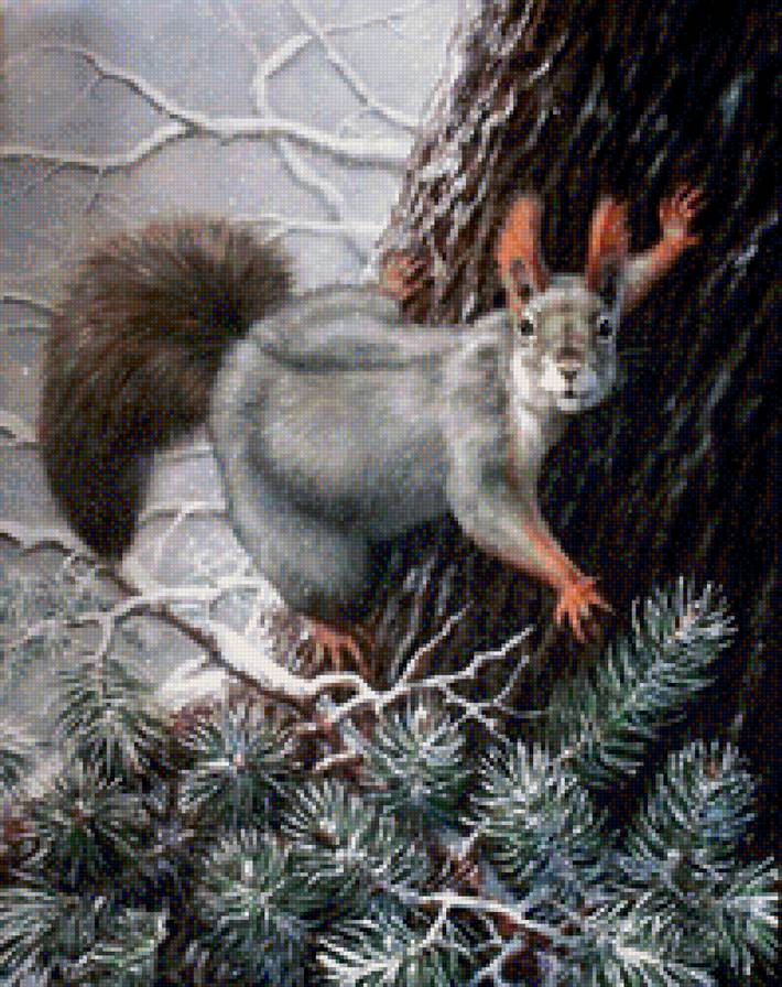 Белка 2 - предпросмотр