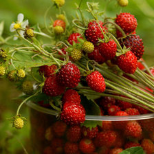 Схема вышивки «Земляника»