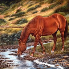 Схема вышивки «Серия "Фауна"»