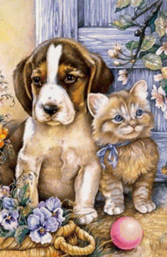 друзья - собаки, кошки, природа, животные - предпросмотр