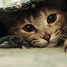 Схема вышивки «взгляд»