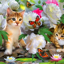 котята в цветах