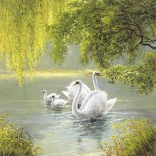 Схема вышивки «лебеди»