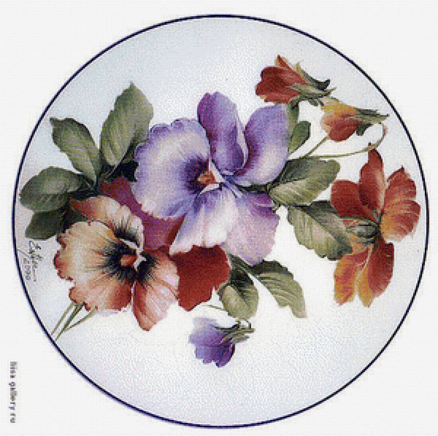 виола - предпросмотр