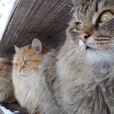 Схема вышивки «три богатыря»