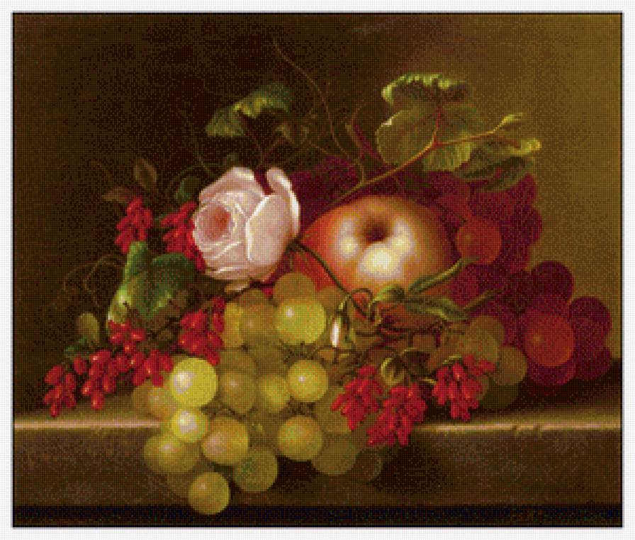 натюрморт с виноградом - натюрморт - предпросмотр