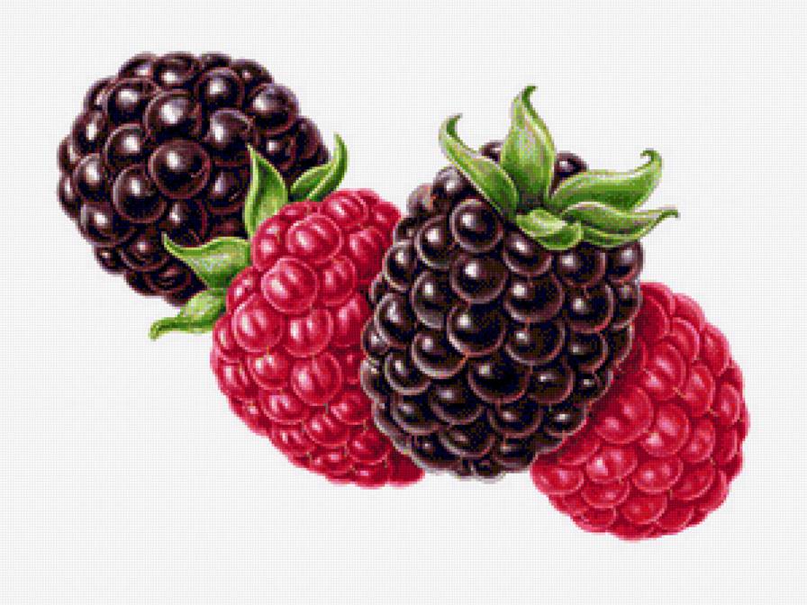 Ягоды - ягода, на кухню, малина, ежевика, ягоды - предпросмотр